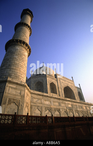 Taj Mahal und Minarett in Agra Indien Stockfoto