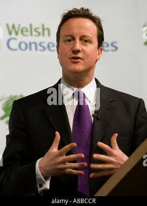 Premierminister David Cameron bei einer Waliser konservative Partei-Konferenz Stockfoto