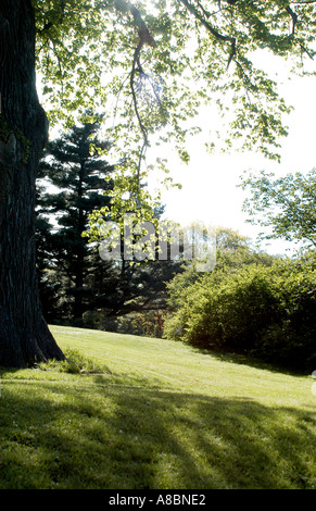 Highland Park im Frühjahr Rochester NY Stockfoto