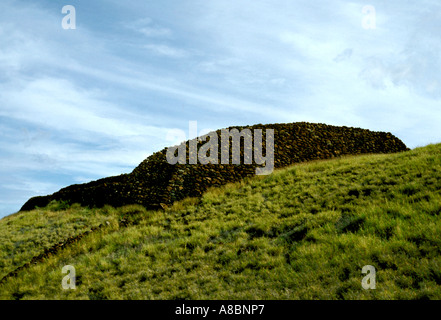 Hawaii Big Island Puukohola Heiau Stockfoto