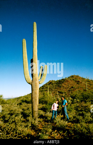 Tucson Arizona Tanque Verde Ranch nahe Stockfoto