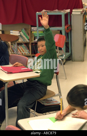 Schüler: 12 hob seine Hand in ESL Schulklasse. Golden Valley, Minnesota USA Stockfoto