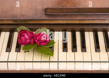 Chopin-Museum von Mallorca Kartause Valdemossa Klavier Rosen Stockfoto