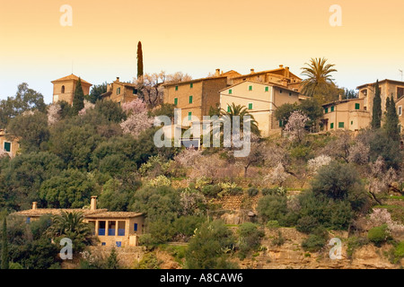 Spanien, Mallorca, Mandelblüte in Deia Stockfoto