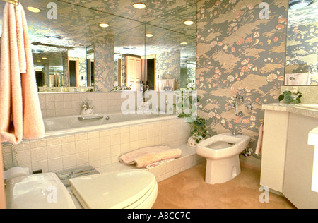 Pittsburgh, PA, USA 'Whirlpool Tub' Luxuseinrichtung, maßgeschneidertes Badezimmer, elegant, Apartment-Stil Badezimmer Stockfoto