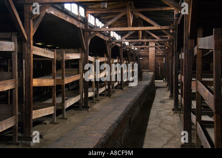 Etagenbetten in Auschwitz Birkenau Hütte Stockfoto