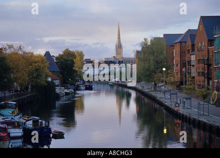 Norwich Kathedrale spiegelt sich in den Fluss Wensum Stockfoto