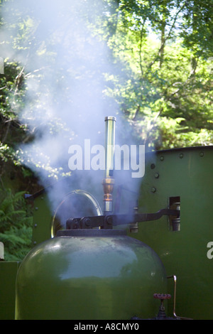 Dampf-Pfeife am Motor auf der Talyllyn Railway, Gwynedd, Nordwales Stockfoto