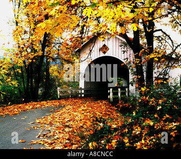 Herbstliche Ansicht Neal Lane bedeckt Brücke in der Nähe der kleinen Stadt Myrtle Creek in Oregon Stockfoto
