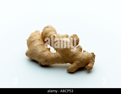 Ingwer-Wurzel Stockfoto