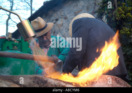 Traditionelle Art der Tötung einer Katze im ländlichen Portugal. Stockfoto