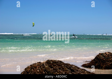 Kite Flying Lancelin Strand Westaustralien Stockfoto