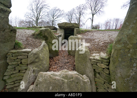 "Waylands Schmiede" neolithischen Dolmen neben der Höhenweg in der Nähe von Compton Beauchamp, Oxfordshire gekammert Stockfoto