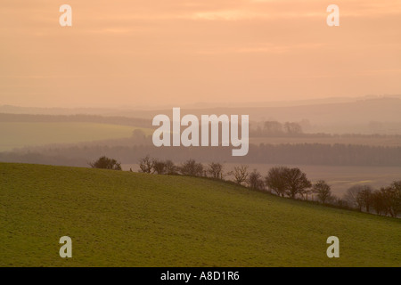 Blick über die Lambourne Downs von Uffington Burg, Compton Beauchamp, Oxfordshire Stockfoto
