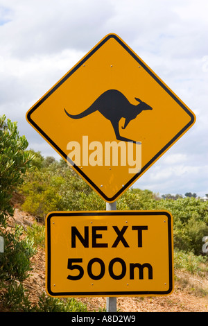 Känguru Schild Stockfoto
