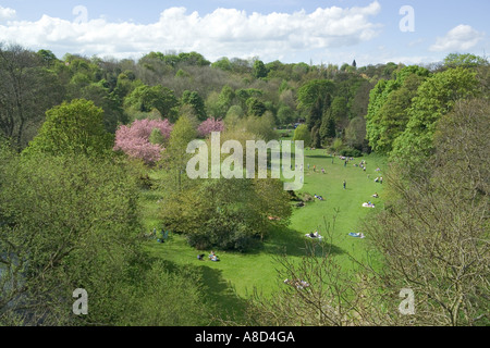 Jesmond Dene, Newcastle upon Tyne, Tyne & Wear, England, Großbritannien Stockfoto