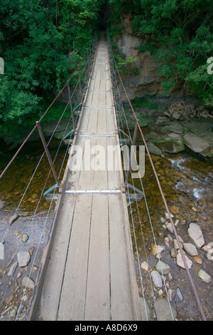 Hängebrücke mit ein Fußweg über den Fluss Allen am Plankey Mill, Northumberland Stockfoto