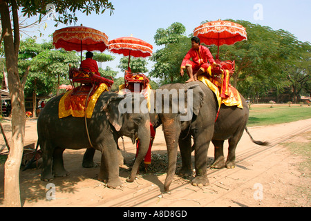 Thailand Ayyuthaya Wat Phra Ram Elefanten und Mahouts ruhen Stockfoto
