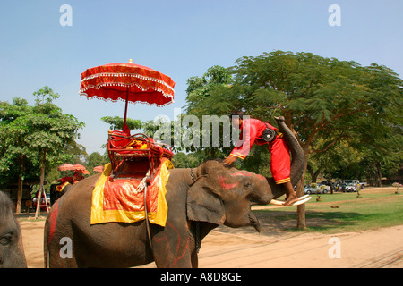 Thailand Ayyuthaya Wat Phra Ram Elefant Stockfoto