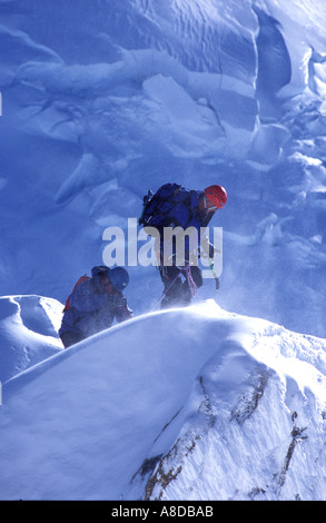 Mountain Guide mit Klienten Gipfelgrat bei starkem Wind zu erreichen Stockfoto
