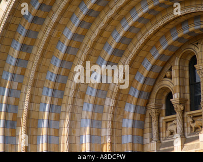 Detail des Haupteingangs, Natural History Museum South Kensington London reisen Stockfoto