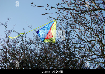 Kite in Baum Stockfoto