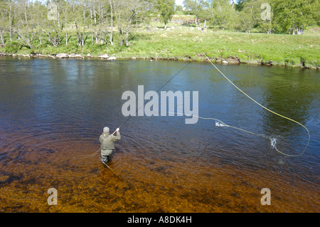 Lachsangeln auf den berühmten River Spey in Grantown auf Spey Morayshire, Schottland Stockfoto