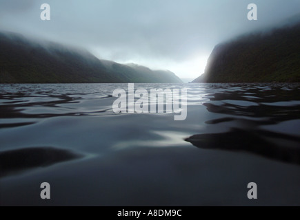 ein Nebel gebundene Fjord auf Neufundland s Südküste, diesein ist Grey River genannt. Stockfoto