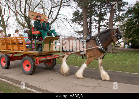 Clydesdale-Pferde ziehen Karren in Glasgow Park Glasgow Schottland GB UK Stockfoto