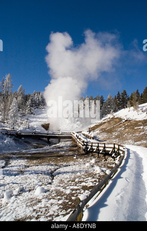 Drachen s Mund Frühling in Mud Volcano Bereich Yellowstone Nationalpark USA Stockfoto
