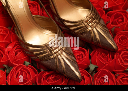 Bronze High Heel Schuhe auf einem Bett aus roten Rosen Stockfoto