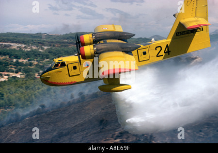 Luftaufnahme von einem Canadair Löschwasser bomber Flugzeug Aufguss Wasser über ein wildfire, Provence, Frankreich, Europa, Stockfoto