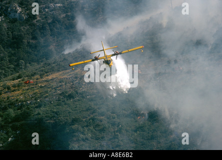 Luftaufnahme von einem Canadair Löschwasser bomber Flugzeug Aufguss Wasser über ein wildfire, Wald Brand Rauch, Provence, Frankreich, Europa, Stockfoto