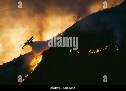 Luftaufnahme von einem Canadair Löschwasser bomber Flugzeug Aufguss Wasser über ein wildfire bei Nacht, Flammen, Rauch, Korsika, Frankreich, Europa, Stockfoto