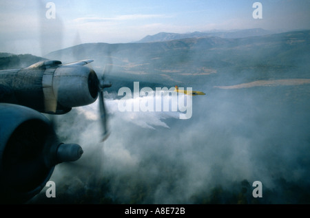 Luftaufnahme von Motoren Douglas DC-6B's Flugzeug, gelb Löschwasser bomber Flugzeug Aufguss Wasser über ein wildfire, Provence, Frankreich, Europa, Stockfoto