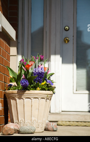 CHICAGO Illinois Blumentopf mit Hyazinthen und Tulpen auf der Zielseite Haustür Altstadt Nachbarschaft Stockfoto