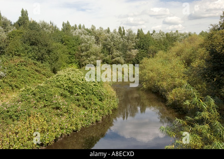 Cheshire Stockport River Tame fließt durch rötlich Vale Country Park Stockfoto