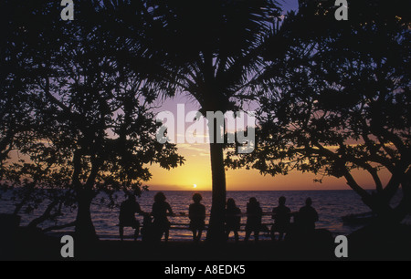 Silhouette von einer Gruppe von Freunden sitzen unter Palmen mit Blick auf den Strand und das Meer und den Sonnenuntergang beobachten Stockfoto