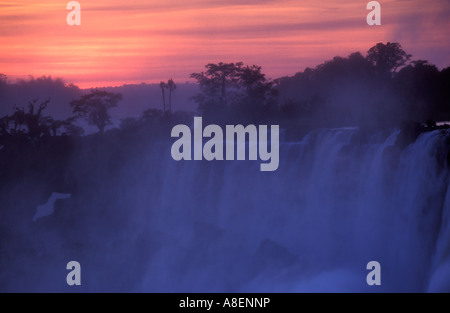 Iguazu Falls Nationalpark, Cataratas del Iguazú, subtropischen Regenwald, Provinz Misiones, Argentinien Stockfoto