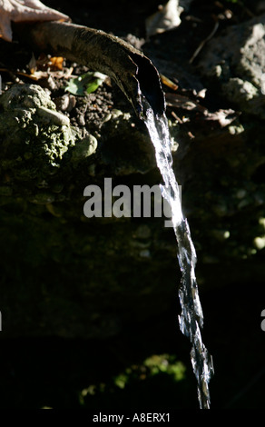 Quellwasser aus einem rostigen Rohr gießen. Stockfoto
