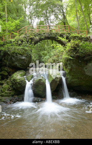 Die alte Steinbrücke genannt Scheissentempel, Mullerthal in der Nähe von Echternach, Luxemburg Stockfoto