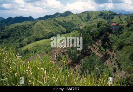 Blick auf die Hügel auf der Ruta Panoramica Cordillera Central zentrale Puerto Rico Stockfoto