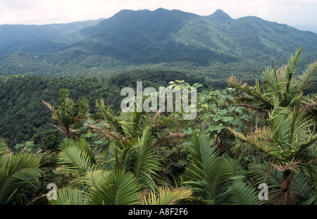 Blick auf die Hügel auf der Ruta Panoramica Cordillera Central zentrale Puerto Rico Stockfoto