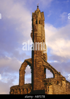 Dh Kathedrale St Andrews Fife West End Wall tower Schottland Ruine Stockfoto