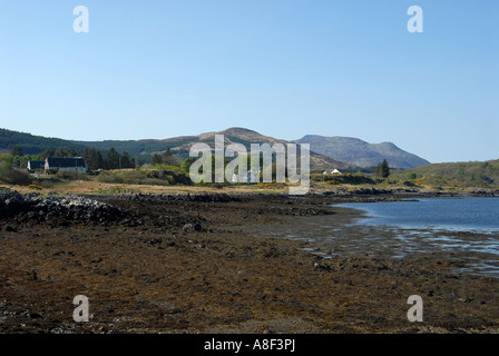 Die Ruinen der Burg Aros aus dem 13th. Jahrhundert an der Mullküste mit Blick auf den Sound of Mull. Das Schloss wurde von den MacDonalds erbaut Stockfoto