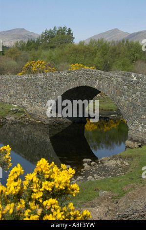 Kleine Buckelbrücke über den Fluss Lussa bei Craignure auf der Isle of Mull in den Inner Hebrides, Schottland, Britische Inseln. Stockfoto