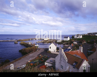 dh Hafen St. ABBS Grenzen Boote Fischerhäusern und Rettungsstation Stockfoto