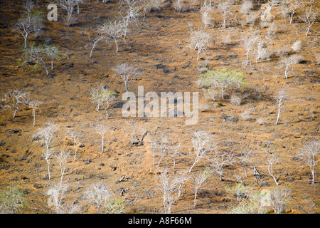 Landschaft in der Nähe von Punta Cormorant auf der Insel Floreana Galapagos Ecuador Stockfoto