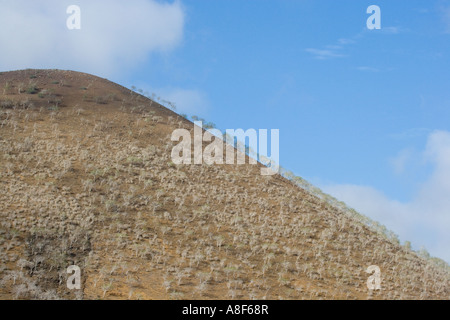 Landschaft in der Nähe von Punta Cormorant auf der Insel Floreana Galapagos Ecuador Stockfoto