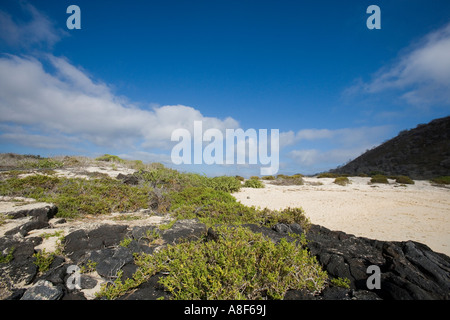 Landschaft in der Nähe von Punta Cormorant auf der Insel Floreana Galapagos Ecuador Stockfoto